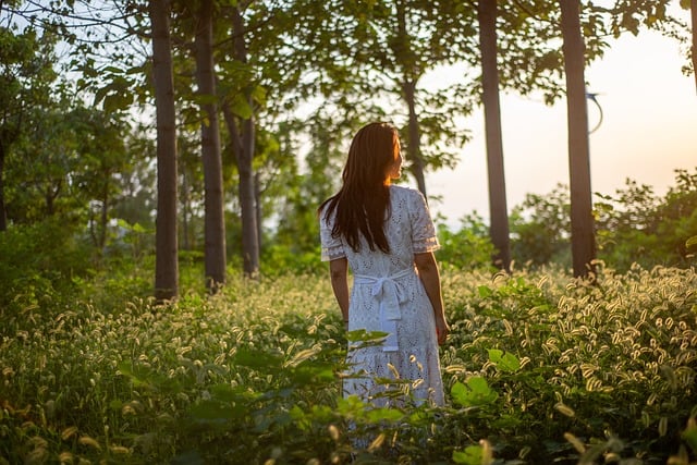 mglisty poranek cisza premium natura spacer w lesie z tyłu